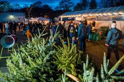STEP Weihnachtstreff 2025 - Kundenanlass mit Weihnachtsbaumverkauf für das Projekt schoolkidz in Lörrach