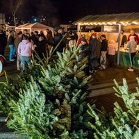 STEP Weihnachtstreff 2025 - Kundenanlass mit Weihnachtsbaumverkauf für das Projekt schoolkidz in Lörrach