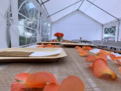 Sommerfest 2021 bei STEP