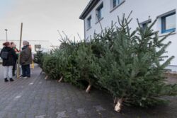 Weihnachtstreff und Spendenaktion STEP 2019