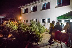 STEP Weihnachtstreff 2025 - Kundenanlass mit Weihnachtsbaumverkauf für das Projekt schoolkidz in Lörrach